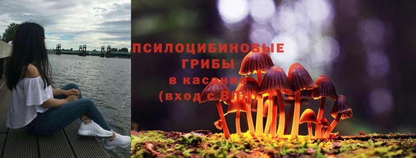 каннабис Абаза