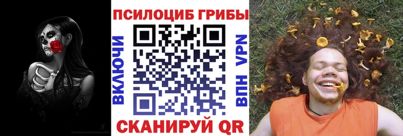 хочу наркоту  ссылка на мегу ссылки  Галлюциногенные грибы прущие грибы  Среднеколымск 