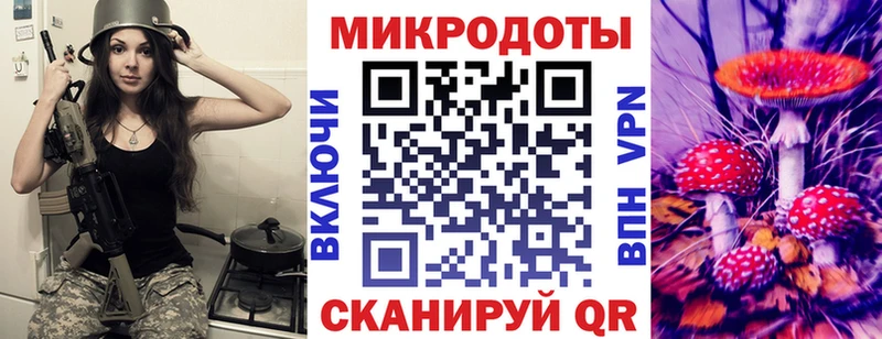 Псилоцибиновые грибы Psilocybe Среднеколымск